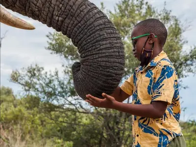 a boy holding the trunk of an elephant at Zebula Golf and Wildlife Estate - Oryx Walkway Pax 16 - Moi Signature Luxury villa in Mabula