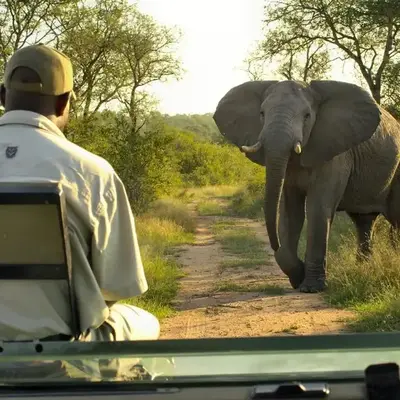 Lukimbi Safari Lodge