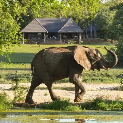 Inyati Game Lodge