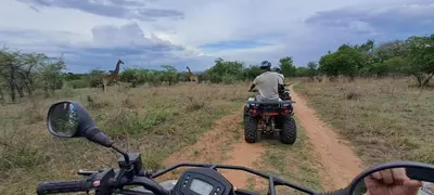a man riding a motorcycle on a dirt road with giraffes at Casa de la Presa 2 in Polokwane