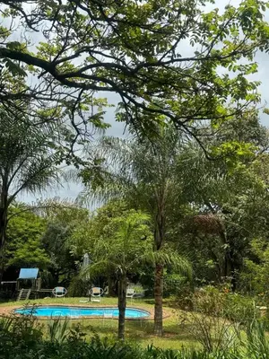 a swimming pool in a park with trees at Busa House Self-Catering guest house Caravan Park in White River