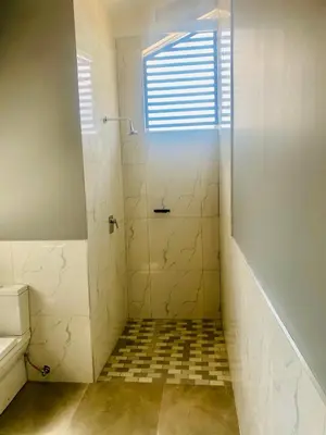 a bathroom with a shower and a toilet and a window at Zinnia house in Midrand