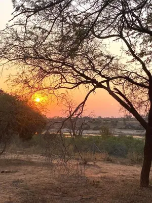 a sunset in a field with a tree at Krugers elegant escape The Kop in Marloth Park
