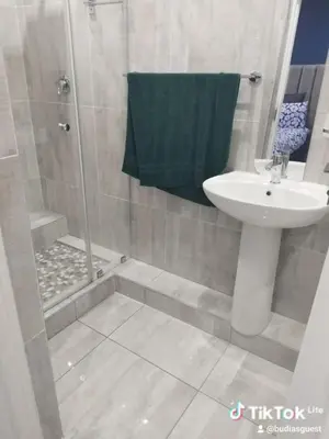 a bathroom with a sink and a shower with a sink at Budias Guesthouse B&B in Kempton Park