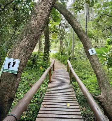 a wooden path in a forest with trees and a sign at Kruger Park Lodge - Unit 522 , Hazyview in Hazyview