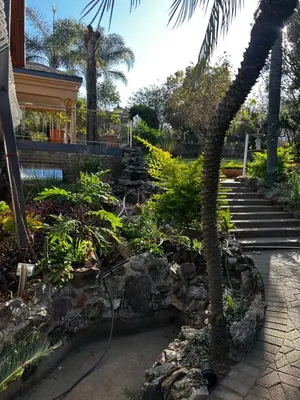 a garden with a palm tree and some stairs at Garden Studio 2 Waterkloof Ridge in Pretoria