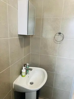 a bathroom with a sink and a mirror at Calm & Cozy Apartment in Pretoria