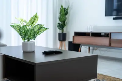 a black coffee table with a vase with plants on it at Homeaway in Midrand