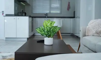 a vase on a coffee table in a living room at Homeaway in Midrand