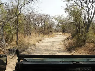 a view of a dirt road from a vehicle at Bushtime at Mabula in Bela-Bela