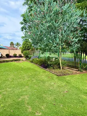 a tree in a yard next to a fence at Cosy retreat for 2 at MeadWay in Benoni