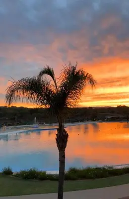 a palm tree in front of a lake at sunset at The Corinthians in Pretoria