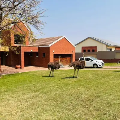 Euphoria Self Catering Home