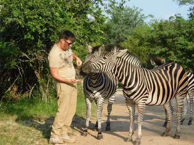 a man standing between two zebras on a road at Tree Lodge by My Adventure House in Marloth Park