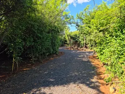 a dirt road with trees on both sides at Hartbeest Bush Stay #2 in Hartbeespoort
