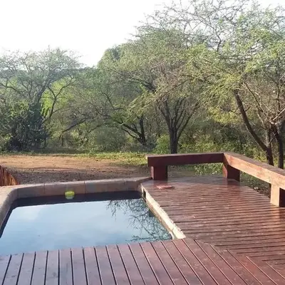 Marloth Kruger Whispering Ants