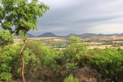 a view of the mountains from the forest at OPPIBERG GUEST HOUSE and SPA in Hartbeespoort