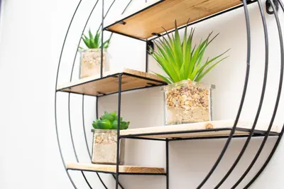 a shelf with potted plants on a wall at Menlyn Apartment in Pretoria