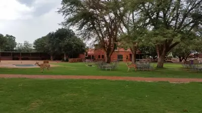 two animals standing in the grass in a park at Sondela Nature Reserve & Spa Moselesele Tents in Bela-Bela